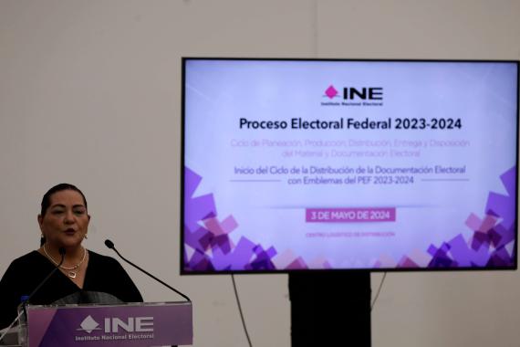 President of the National Electoral Institute (INE) Guadalupe Taddei