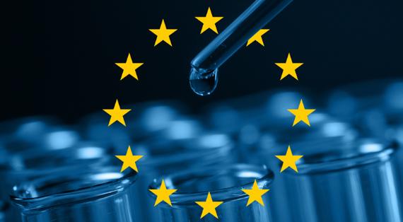 Europäischer Forschungsrat - | Romix Image, stock.adobe.com, Pixabay