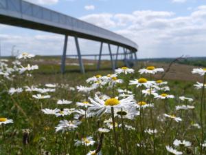 Energieberg Hamburg Georgswerder