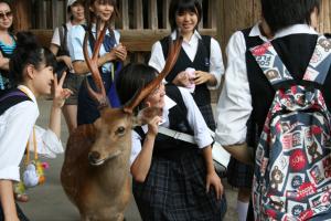 Japanese pupils