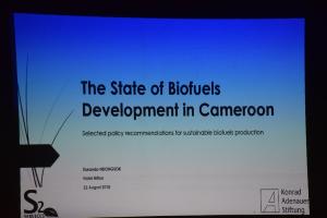 The State of Biofuels Development in Cameroon - Book presentation - screen