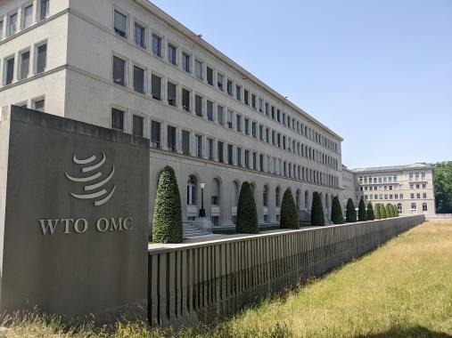 WTO Seeseite