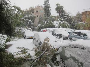 Jerusalem, 13. Dezember 2013: Ein umgestürzter Baum blockiert eine Straße