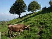 _Europa - Chance für junge Landwirte_