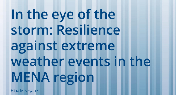 Paper_Resilience against extreme weather events in the MENA region-01 (1)